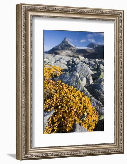 Scandinavia, Norway, Jotunheimen, National-Park, Rocks, Vegetation-Rainer Mirau-Framed Photographic Print