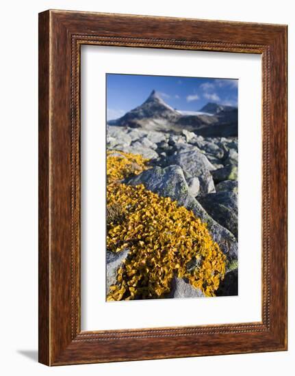 Scandinavia, Norway, Jotunheimen, National-Park, Rocks, Vegetation-Rainer Mirau-Framed Photographic Print