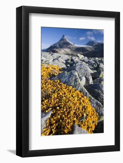 Scandinavia, Norway, Jotunheimen, National-Park, Rocks, Vegetation-Rainer Mirau-Framed Photographic Print