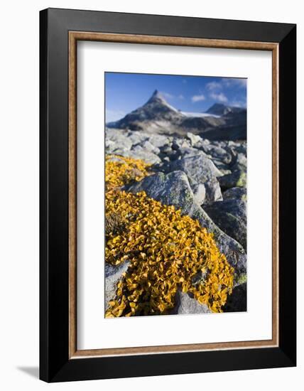 Scandinavia, Norway, Jotunheimen, National-Park, Rocks, Vegetation-Rainer Mirau-Framed Photographic Print