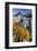 Scandinavia, Norway, Jotunheimen, National-Park, Rocks, Vegetation-Rainer Mirau-Framed Photographic Print