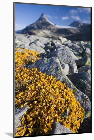 Scandinavia, Norway, Jotunheimen, National-Park, Rocks, Vegetation-Rainer Mirau-Mounted Photographic Print
