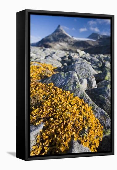 Scandinavia, Norway, Jotunheimen, National-Park, Rocks, Vegetation-Rainer Mirau-Framed Premier Image Canvas