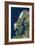 Scandinavia-PLANETOBSERVER-Framed Photographic Print