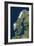 Scandinavia-PLANETOBSERVER-Framed Photographic Print