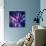 Scanning Electron Microscope-Colin Cuthbert-Photographic Print displayed on a wall