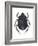 Scarab Beetle (Canthon Pilularius), Insects-Encyclopaedia Britannica-Framed Art Print