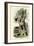 Scarab Beetles, 1863-79-Raimundo Petraroja-Framed Giclee Print