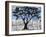 Scarab Tree of Life-Blenda Tyvoll-Framed Art Print