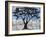 Scarab Tree of Life-Blenda Tyvoll-Framed Art Print