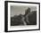 Scarborough Castle, Yorkshire-null-Framed Giclee Print