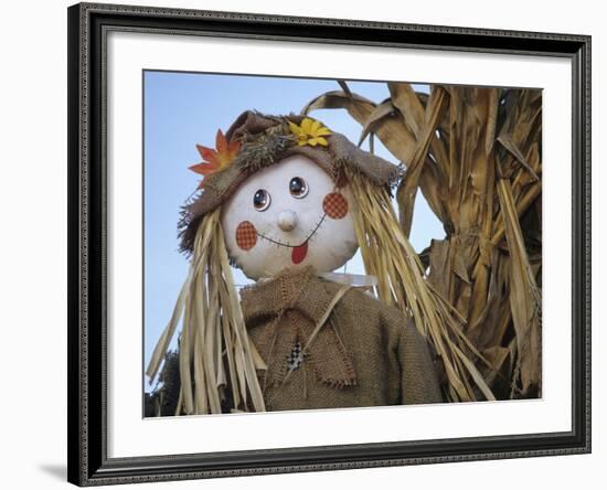Scarecrow and Dead Corn Husks, Carnation, Washington, USA-Merrill Images-Framed Photographic Print