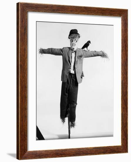 Scarecrow with Crow on His Shoulder-null-Framed Photographic Print