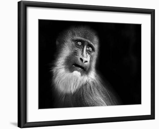 Scared-SD Smart-Framed Photographic Print