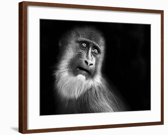 Scared-SD Smart-Framed Photographic Print