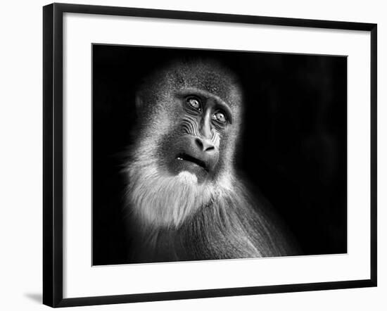 Scared-SD Smart-Framed Photographic Print