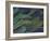 Scarlet and Blue Gold Macaw Wing Feathers-Darrell Gulin-Framed Photographic Print