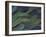 Scarlet and Blue Gold Macaw Wing Feathers-Darrell Gulin-Framed Photographic Print