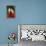Scarlet Feather-Susann Parker-Framed Premier Image Canvas displayed on a wall