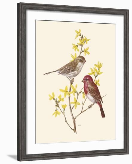 Scarlet Grosbeak-Anatole Marlin-Framed Giclee Print