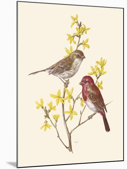 Scarlet Grosbeak-Anatole Marlin-Mounted Giclee Print