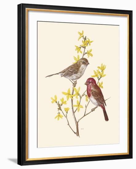 Scarlet Grosbeak-Anatole Marlin-Framed Giclee Print