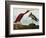 Scarlet Ibis (Eudocimus Ruber), Plate Cccxcvii, from 'The Birds of America'-John James Audubon-Framed Giclee Print