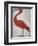 Scarlet Ibis with an Egg, 1699 - 1700-Maria Merian-Framed Art Print