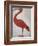 Scarlet Ibis with an Egg, 1699 - 1700-Maria Merian-Framed Art Print