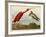 Scarlet Ibis-John James Audubon-Framed Giclee Print