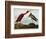 Scarlet Ibis-John James Audubon-Framed Giclee Print