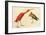 Scarlet Ibis-John James Audubon-Framed Art Print