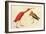 Scarlet Ibis-John James Audubon-Framed Art Print