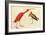 Scarlet Ibis-John James Audubon-Framed Art Print