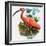 Scarlet Ibis-null-Framed Giclee Print
