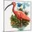 Scarlet Ibis-null-Mounted Giclee Print