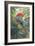 Scarlet Macaw, 1989-Sandra Lawrence-Framed Giclee Print