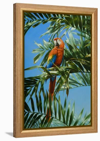 Scarlet Macaw 1-Michael Jackson-Framed Premier Image Canvas