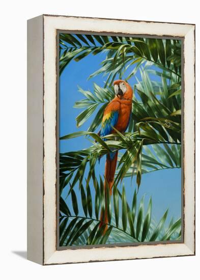 Scarlet Macaw 1-Michael Jackson-Framed Premier Image Canvas