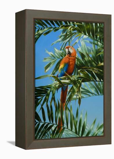 Scarlet Macaw 1-Michael Jackson-Framed Premier Image Canvas