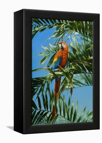 Scarlet Macaw 1-Michael Jackson-Framed Premier Image Canvas