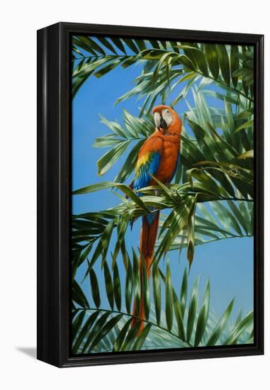 Scarlet Macaw 1-Michael Jackson-Framed Premier Image Canvas