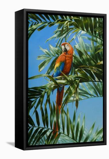 Scarlet Macaw 1-Michael Jackson-Framed Premier Image Canvas