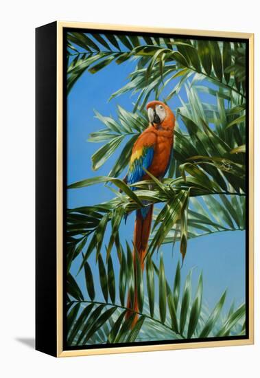 Scarlet Macaw 1-Michael Jackson-Framed Premier Image Canvas