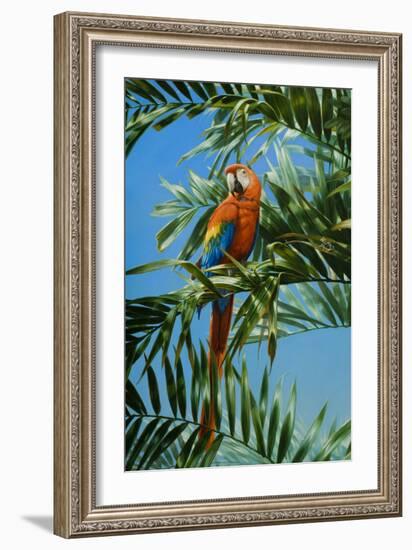 Scarlet Macaw 1-Michael Jackson-Framed Giclee Print