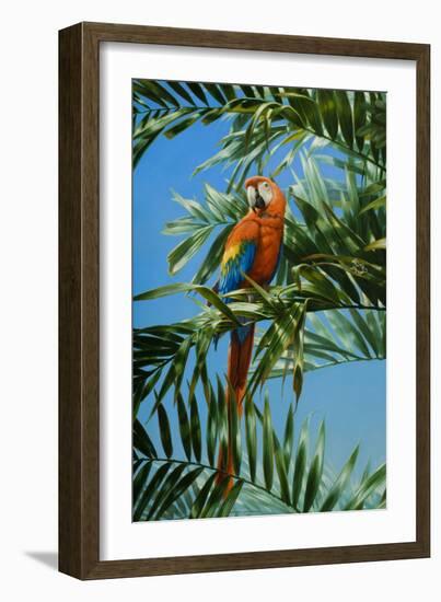 Scarlet Macaw 1-Michael Jackson-Framed Giclee Print