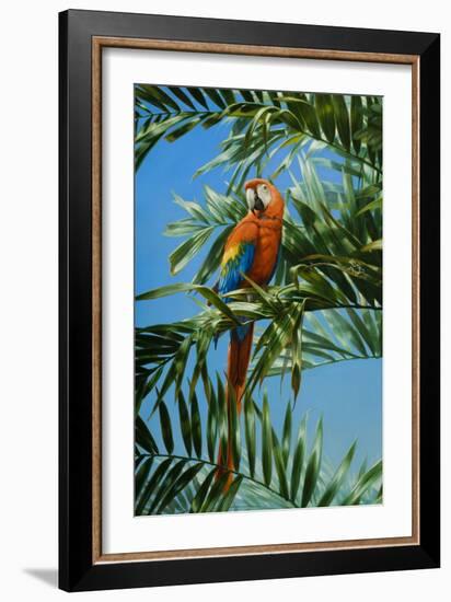 Scarlet Macaw 1-Michael Jackson-Framed Giclee Print