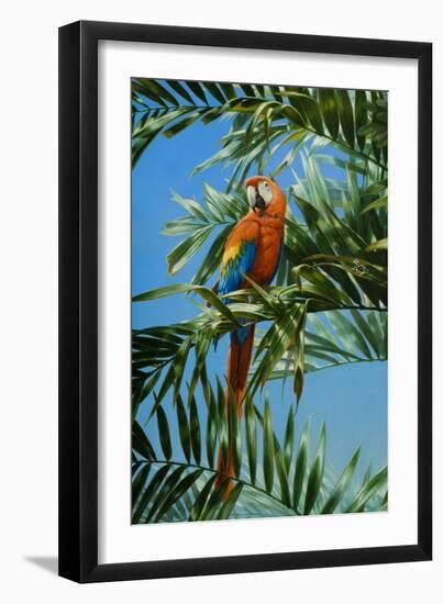 Scarlet Macaw 1-Michael Jackson-Framed Giclee Print