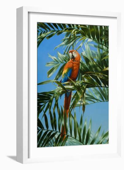 Scarlet Macaw 1-Michael Jackson-Framed Giclee Print