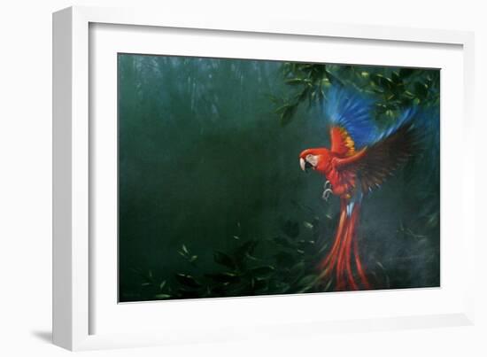 Scarlet Macaw 2-Michael Jackson-Framed Giclee Print